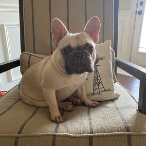 Meet your Posher, Jeff